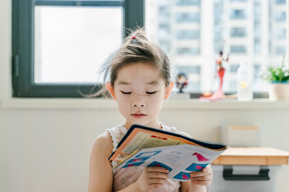 Handboek Professionals: Kinderen die meertalig opgroeien