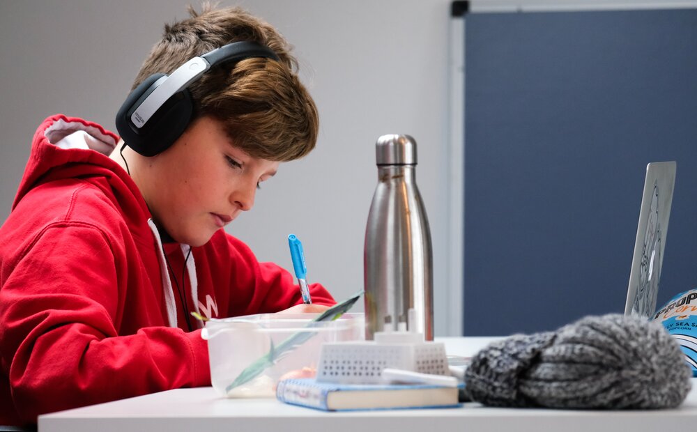 Verklaren verschillen in vaardigheden de verschillen in schooladvies naar SES?